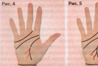 What does the Line of Travel (Migration) mean in palmistry?
